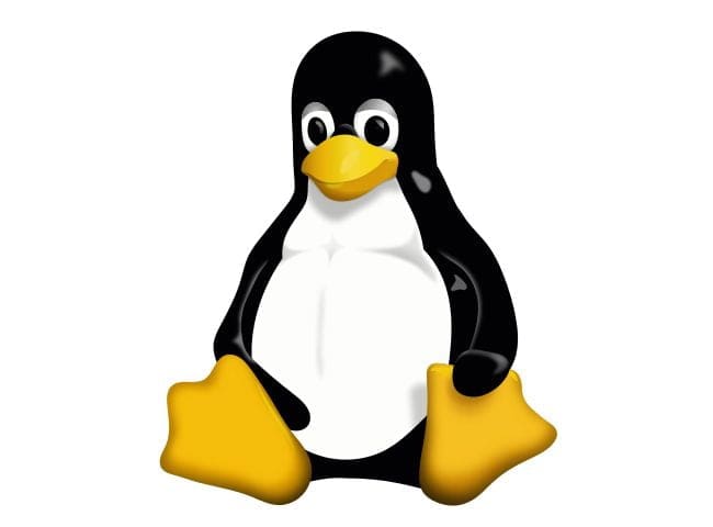 tux-100677393-orig
