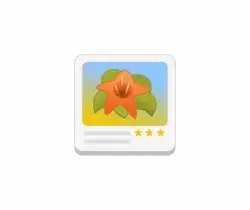Award badge with an orange flower icon on a gradient blue-to-yellow background and a five-star rating.