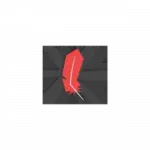 Red crystal shard with jagged base on a dark background, as a standalone icon