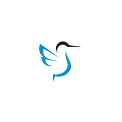 Abstract blue and gray logo centered on a black background on white page context is missing the color contrast; Abstract blue and gray logo on a black background.