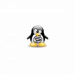 Cartoon penguin sitting and facing forward with black and white body and orange feet and beak.